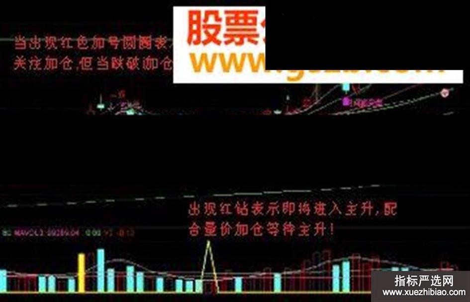 zhutupic.jpg