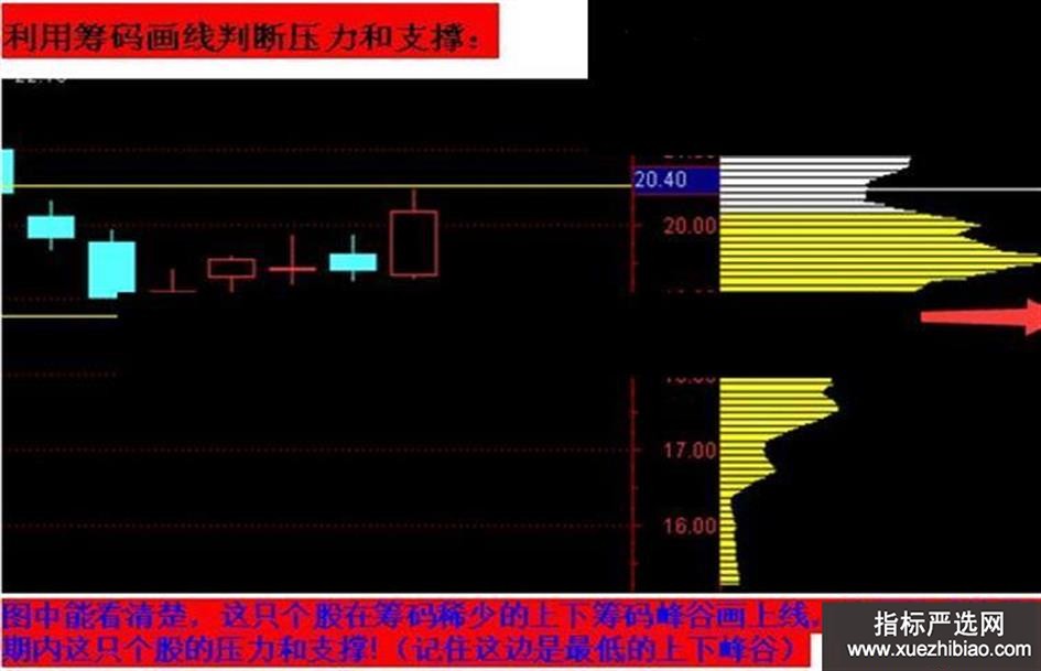 zhutupic.jpg