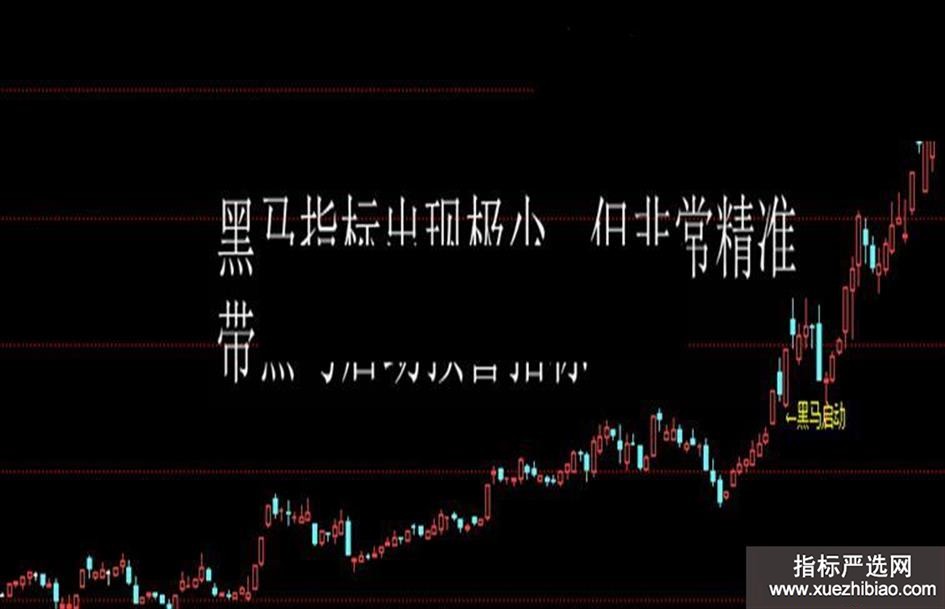 zhutupic.jpg
