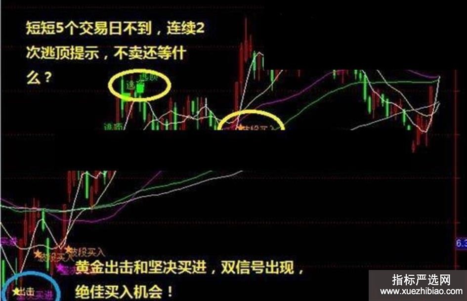 zhutupic.jpg