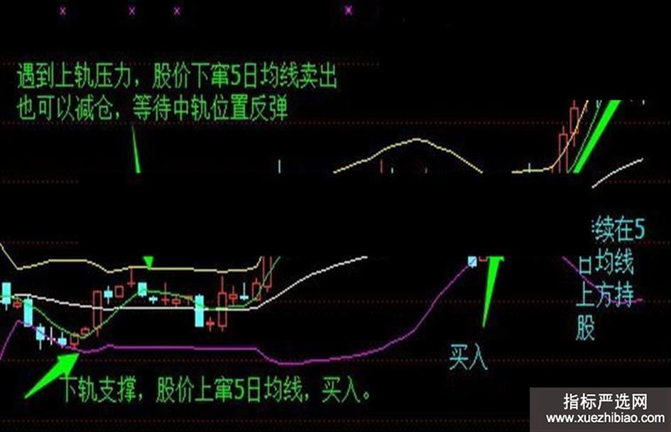 zhutupic.jpg