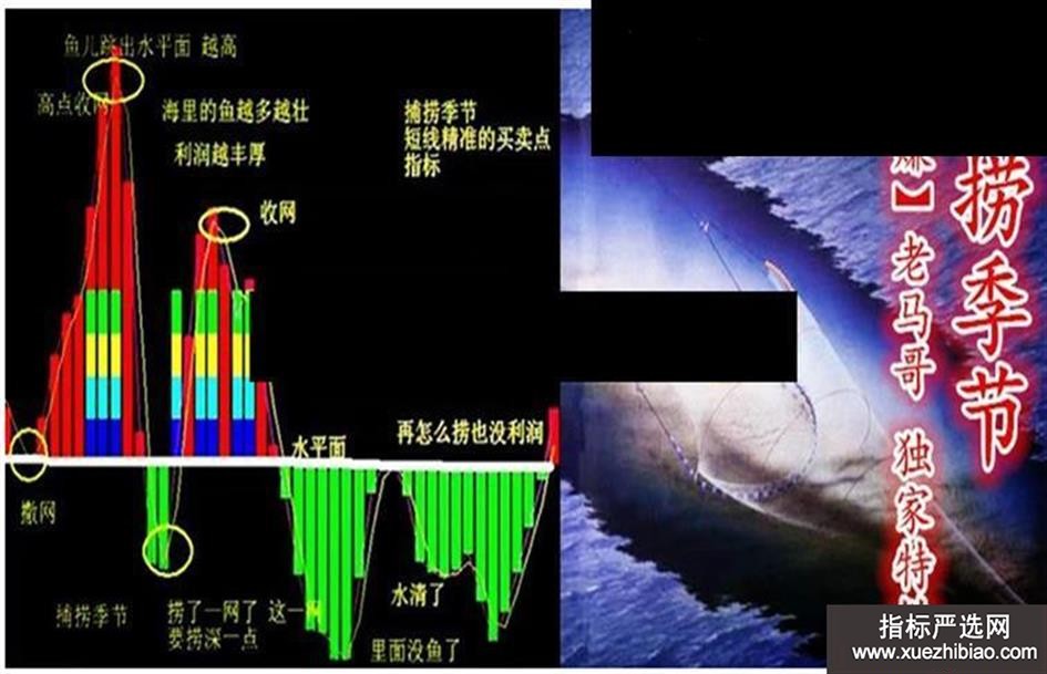 zhutupic.jpg