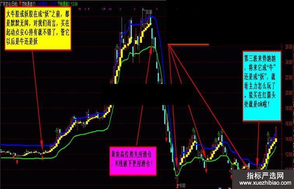zhutupic.jpg