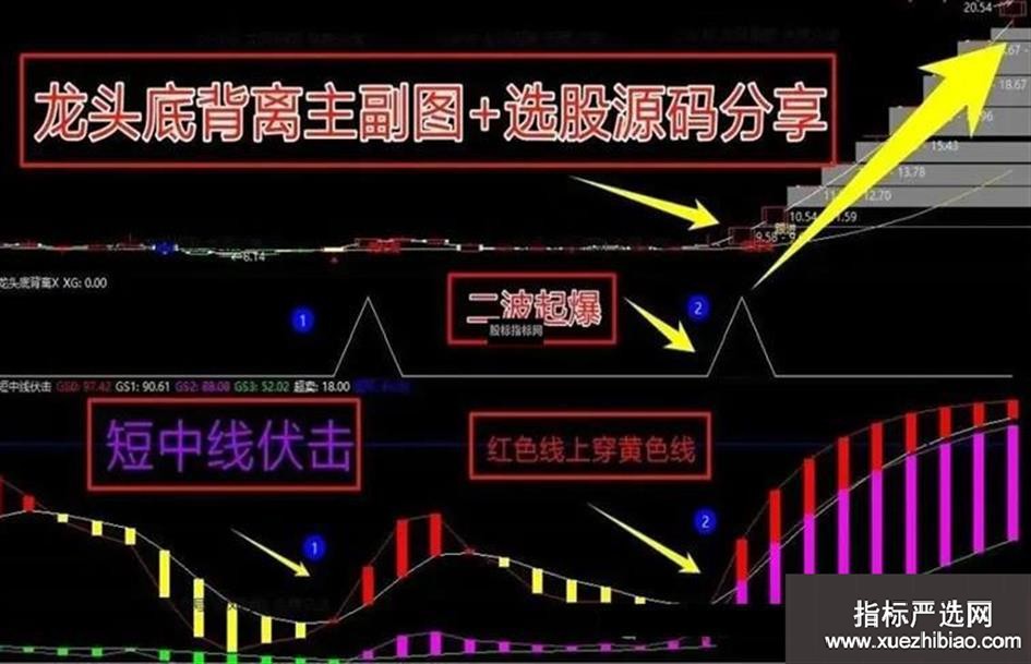 zhutupic.jpg
