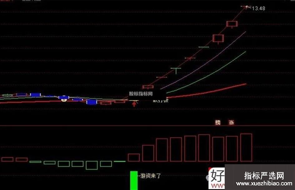 zhutupic.jpg