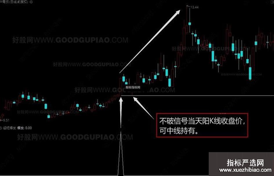 zhutupic.jpg