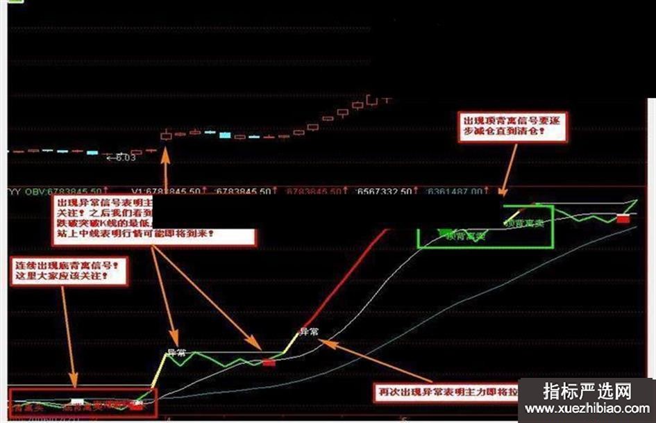 zhutupic.jpg