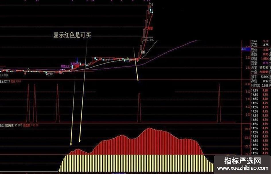 zhutupic.jpg